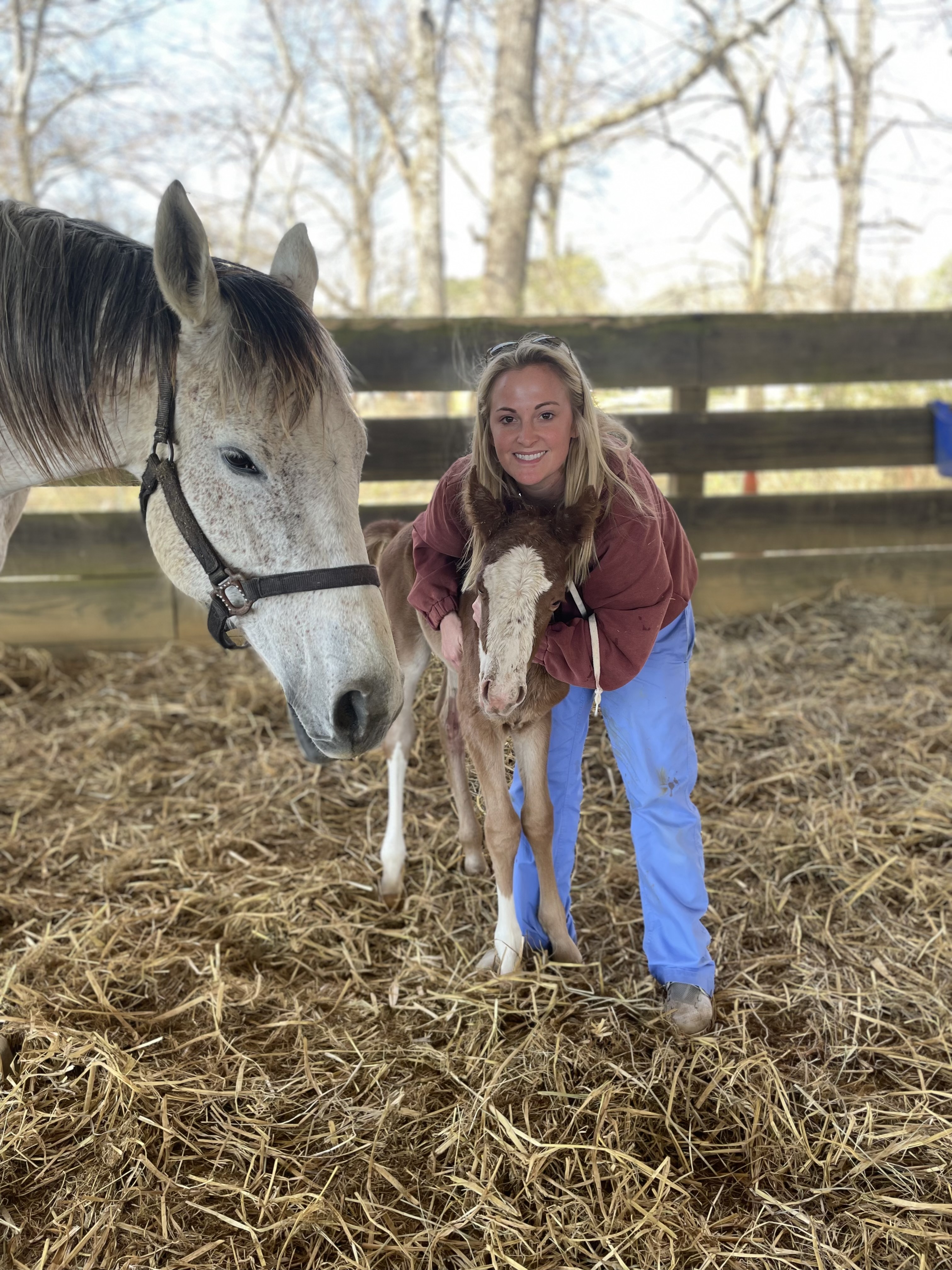 Expert veterinary care by Ward Veterinary Services in Tupelo, MS.
