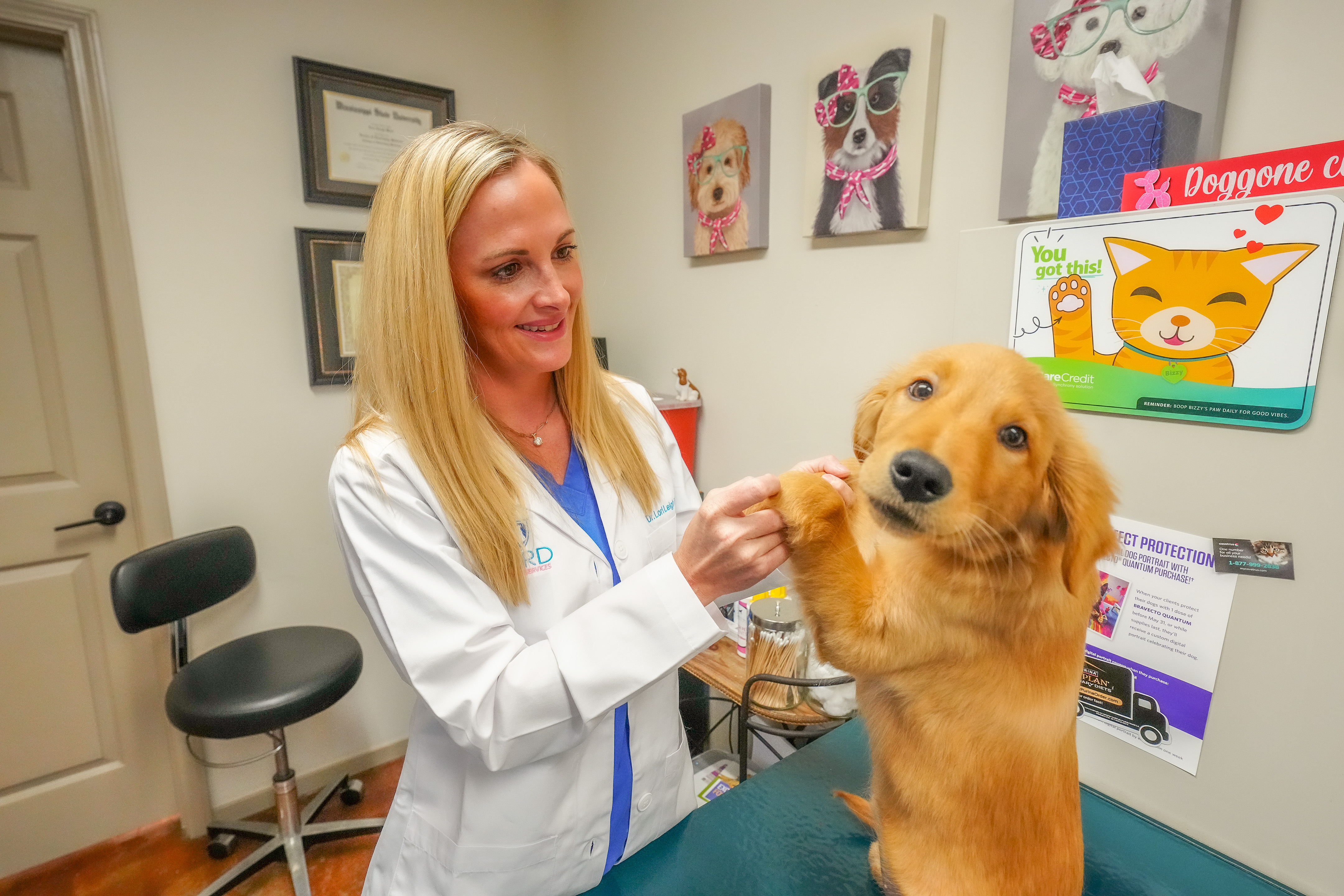Expert veterinary care by Ward Veterinary Services in Tupelo, MS.